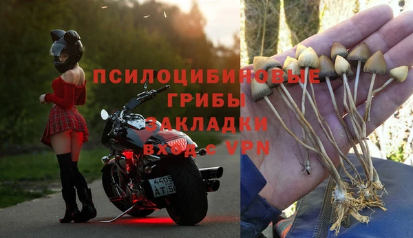 герыч Новозыбков