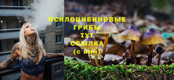 герыч Новозыбков