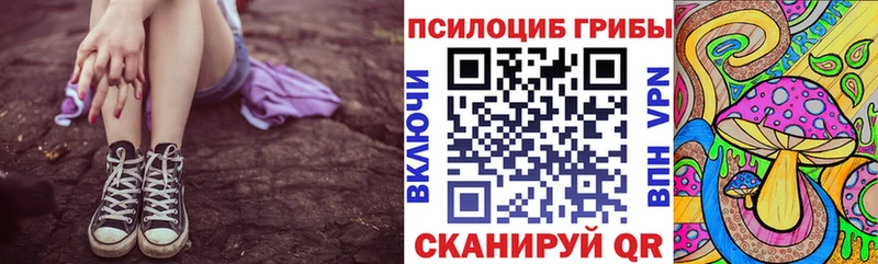 цены Ковылкино Галлюциногенные грибы Cubensis